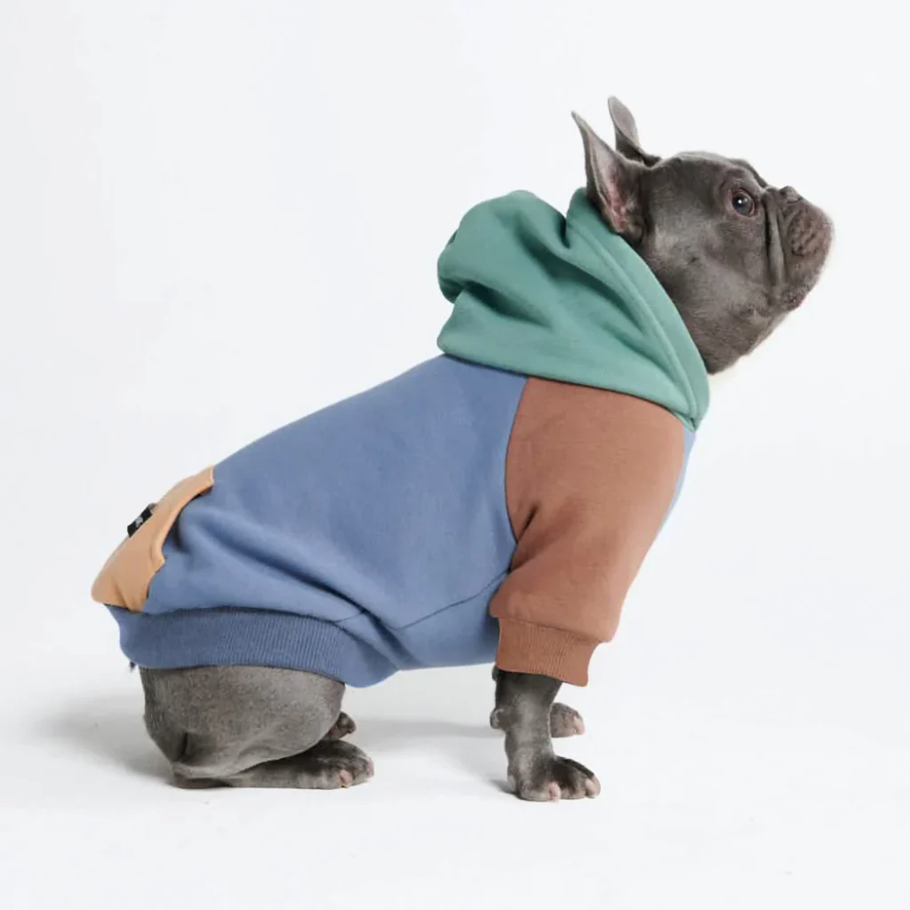 カラーブロック犬パーカー - Image 14