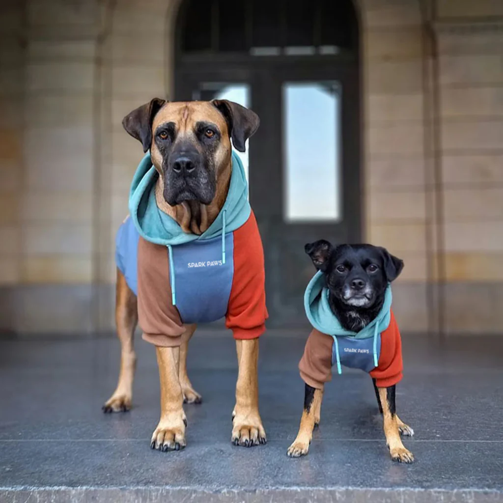 カラーブロック犬パーカー - Image 26