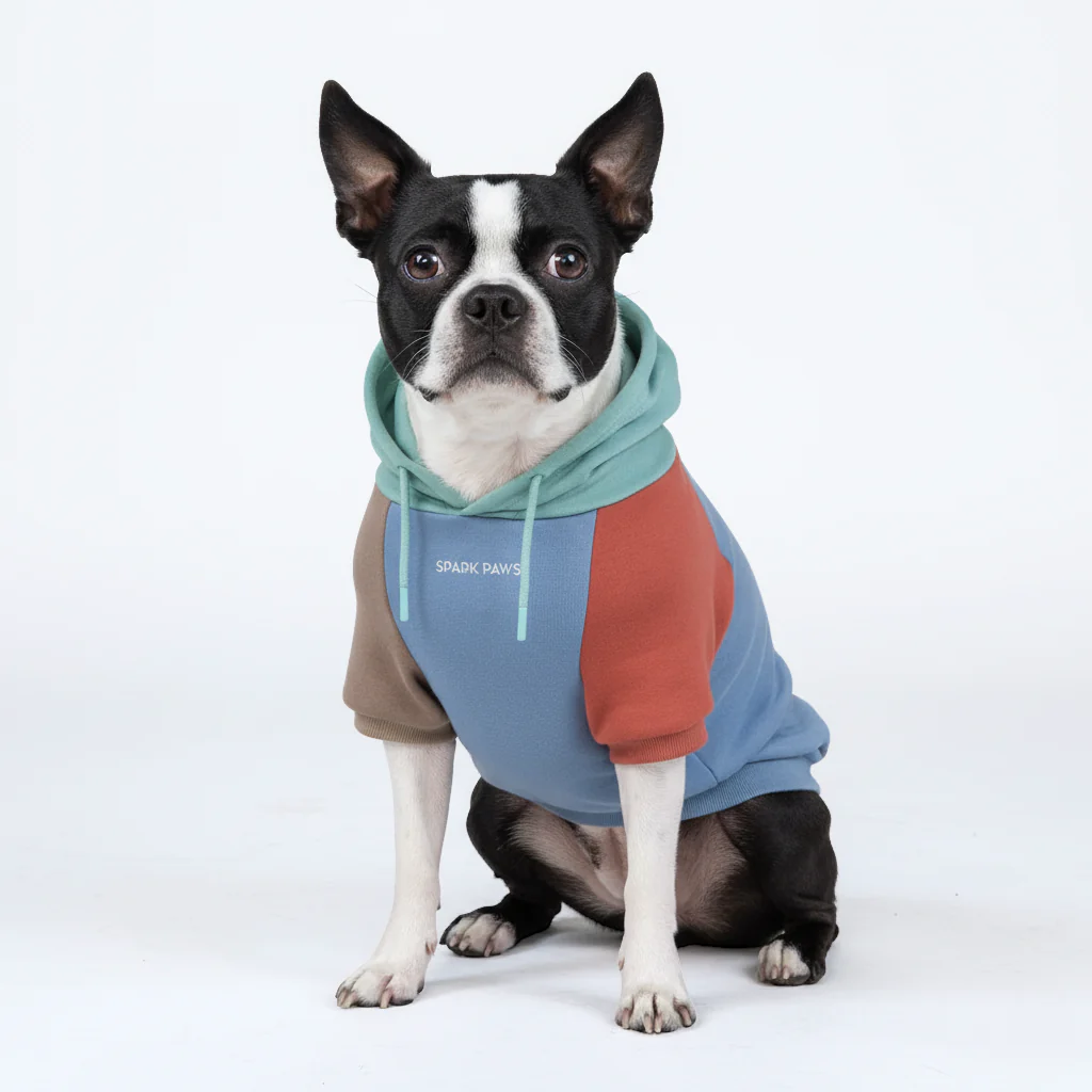 カラーブロック犬パーカー - Image 16