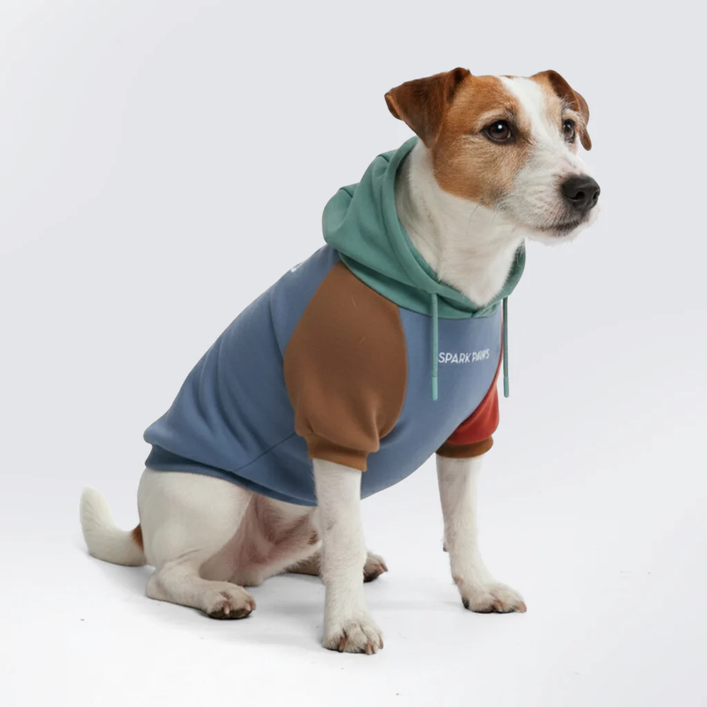 カラーブロック犬パーカー - Image 17