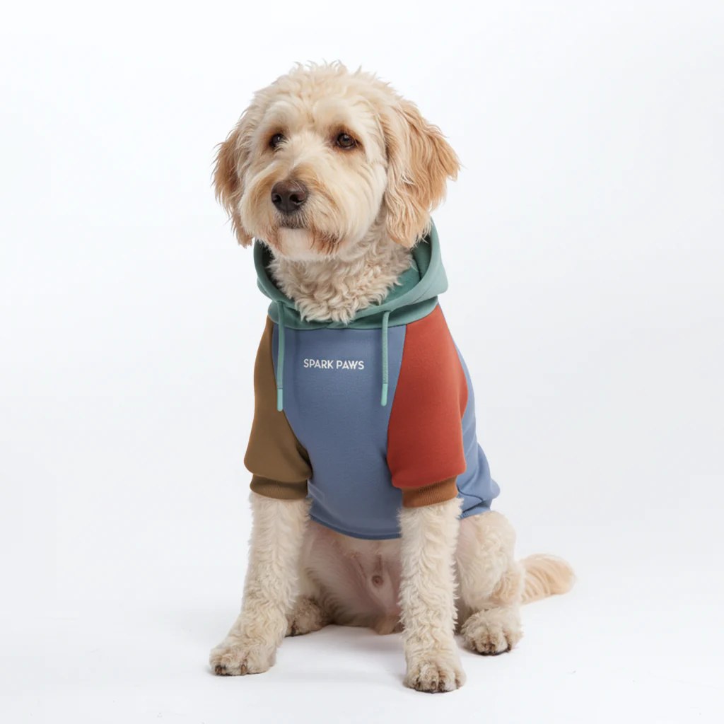 カラーブロック犬パーカー - Image 18