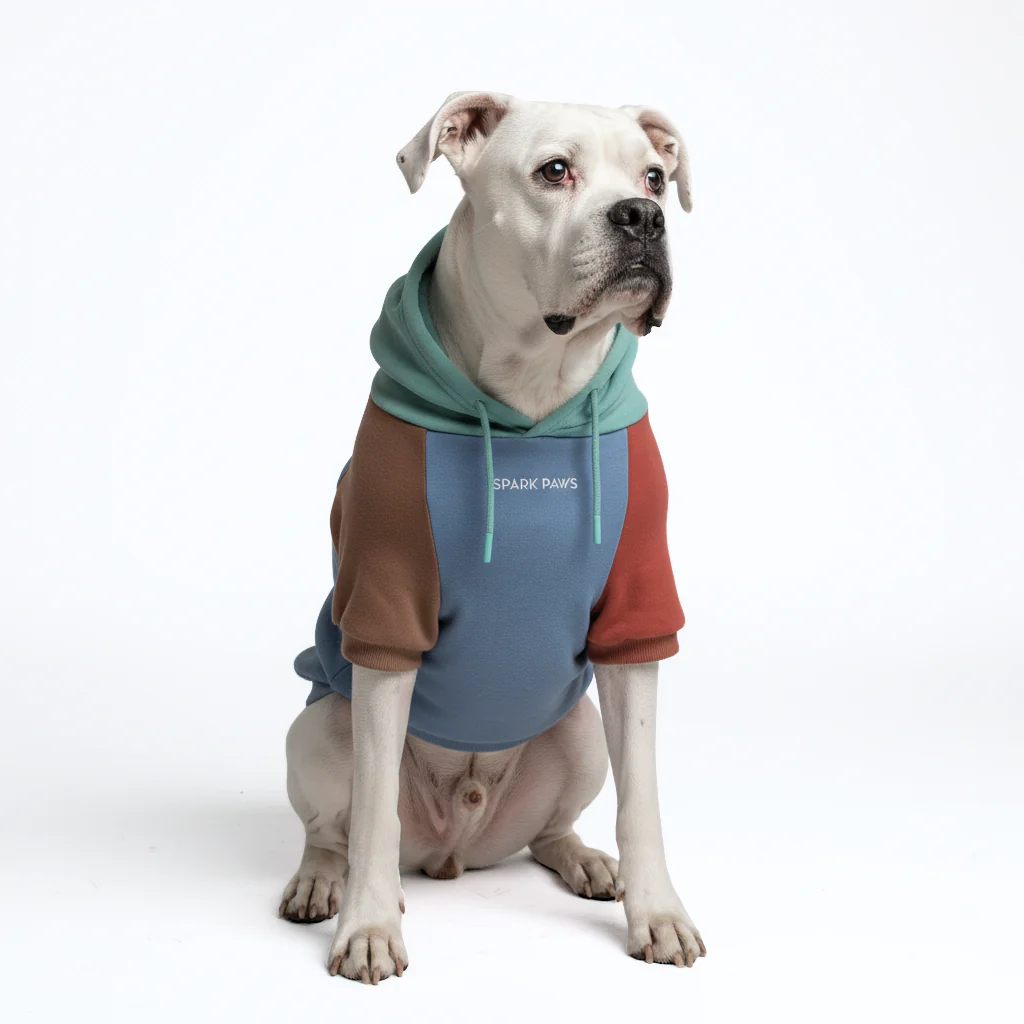 カラーブロック犬パーカー - Image 20