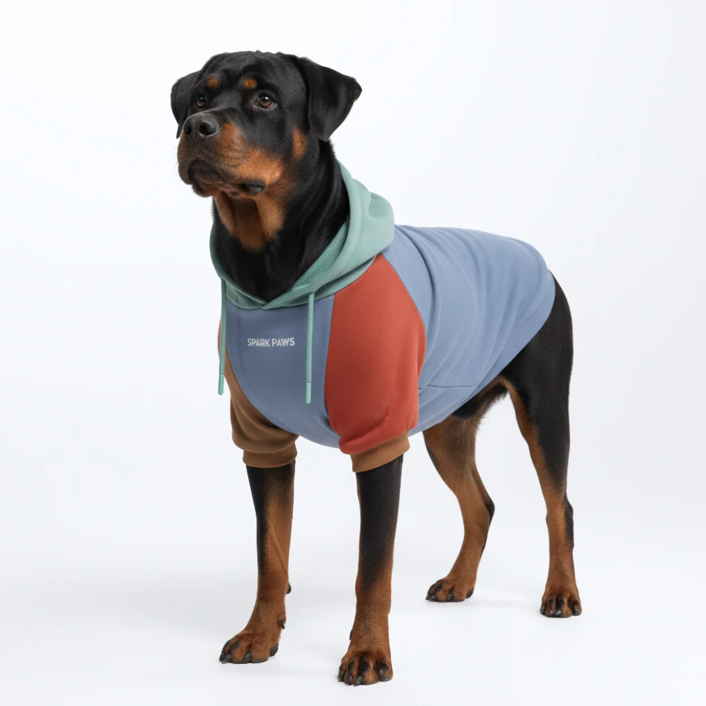 カラーブロック犬パーカー - Image 21