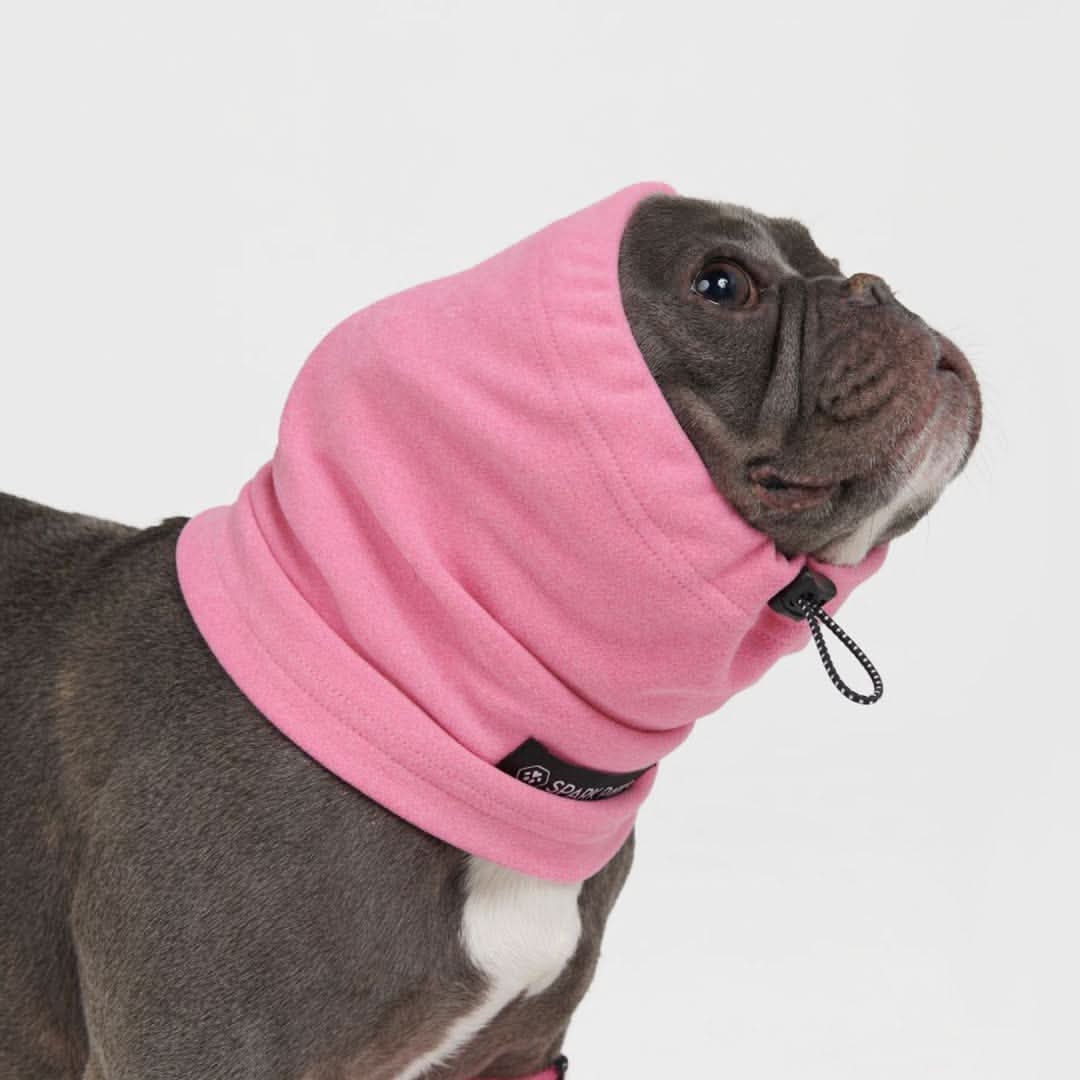 不安鎮静犬イヤーマフプロテクター - Image 2