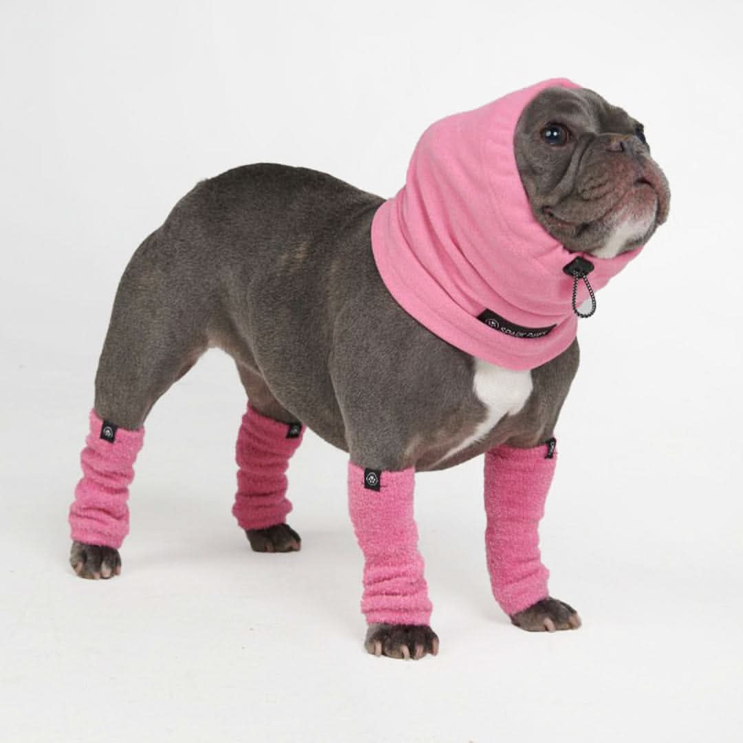 不安鎮静犬イヤーマフプロテクター - Image 3
