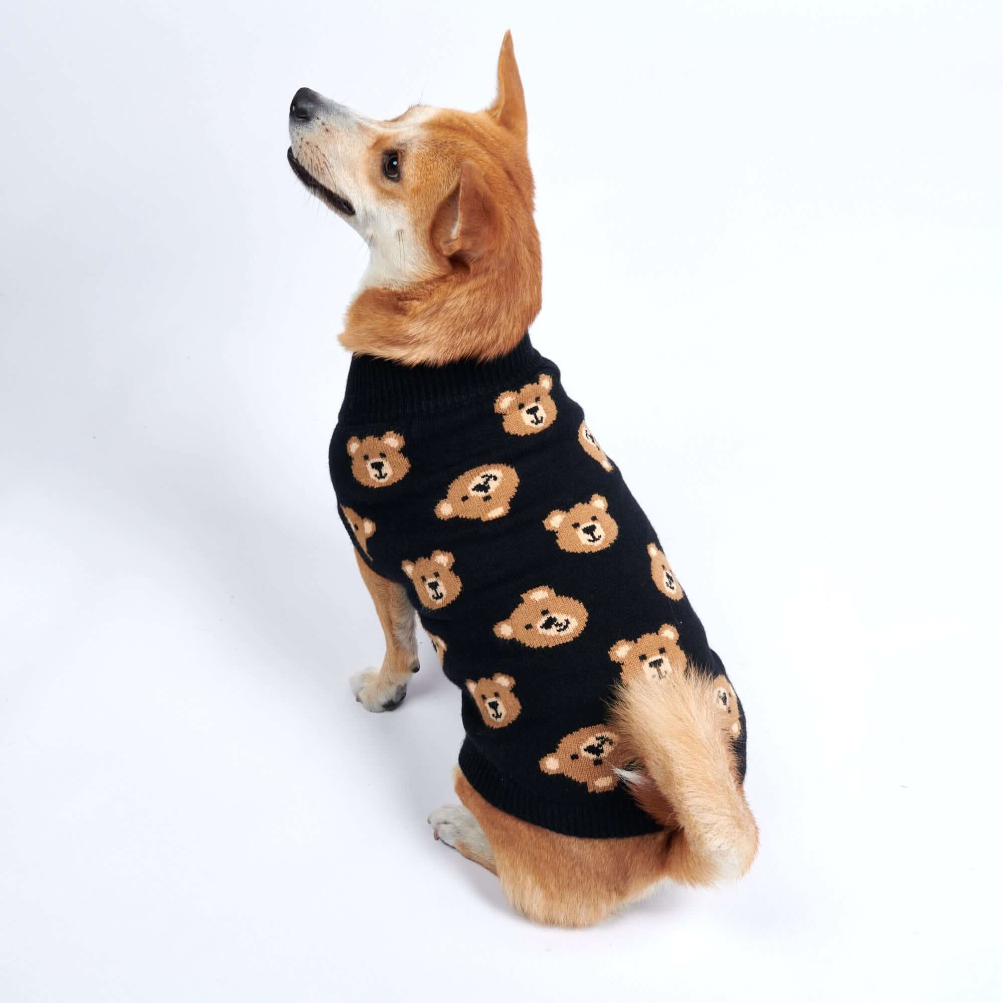 編み犬用セーター - 壊れたテディベア - Image 3