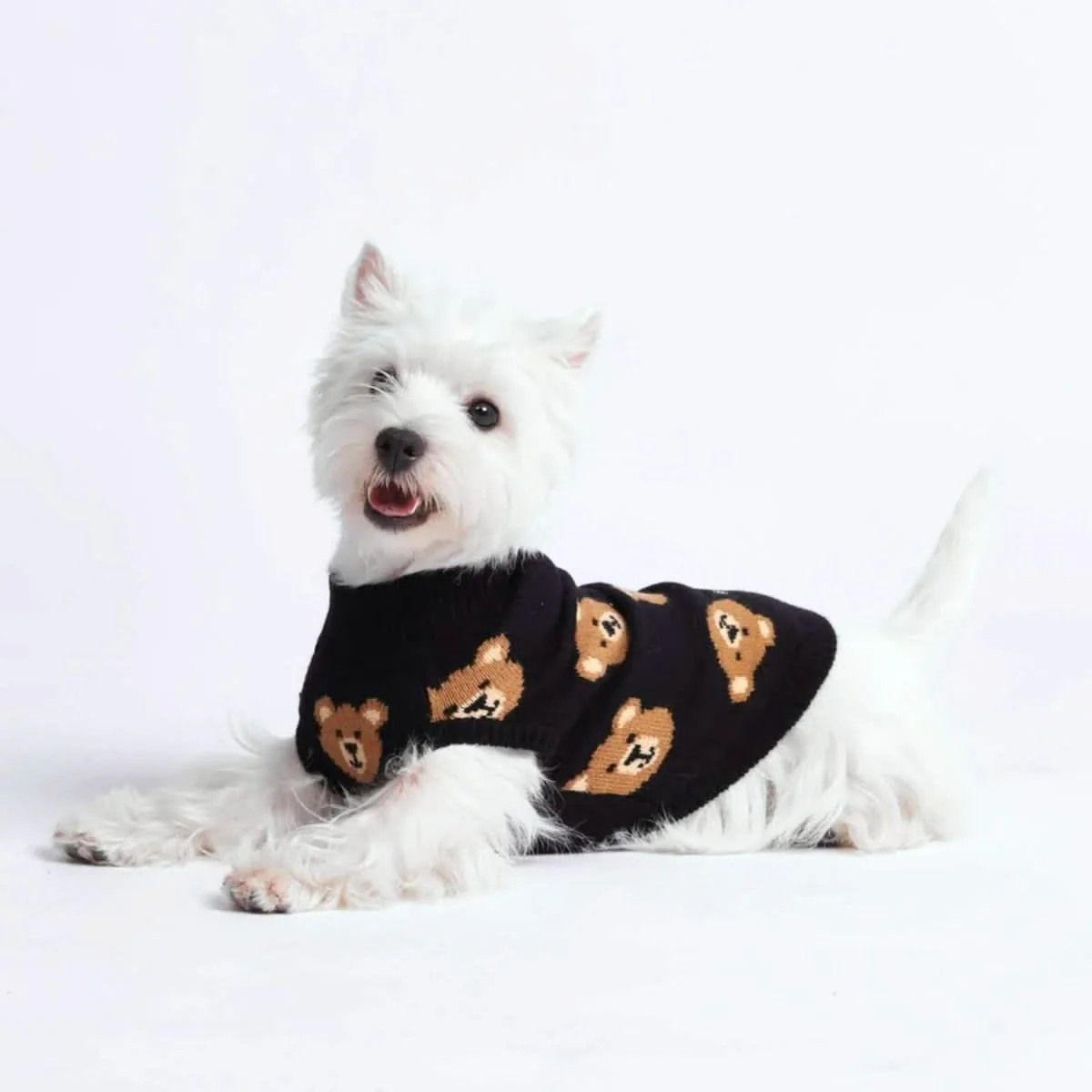 編み犬用セーター - 壊れたテディベア - Image 4