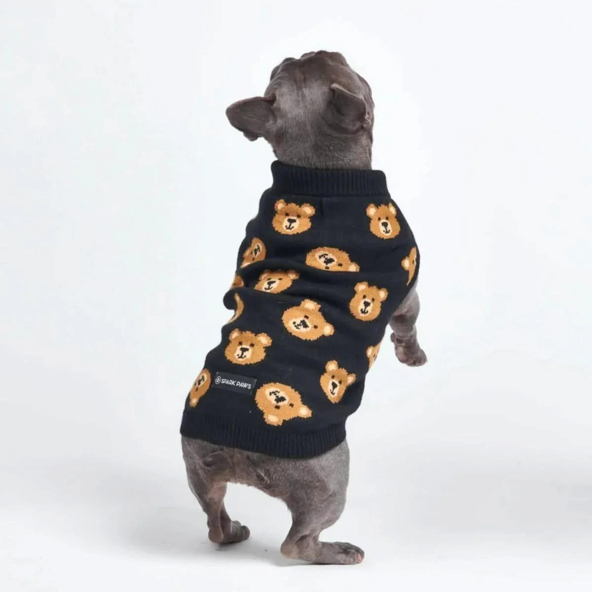 編み犬用セーター - 壊れたテディベア - Image 5