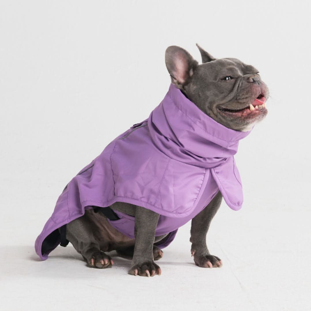 ブレスシールド™ 犬用レインコート - Image 46
