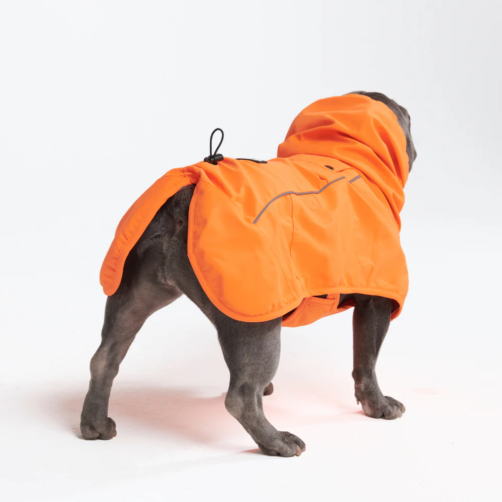 ブレスシールド™ 犬用レインコート - Image 69