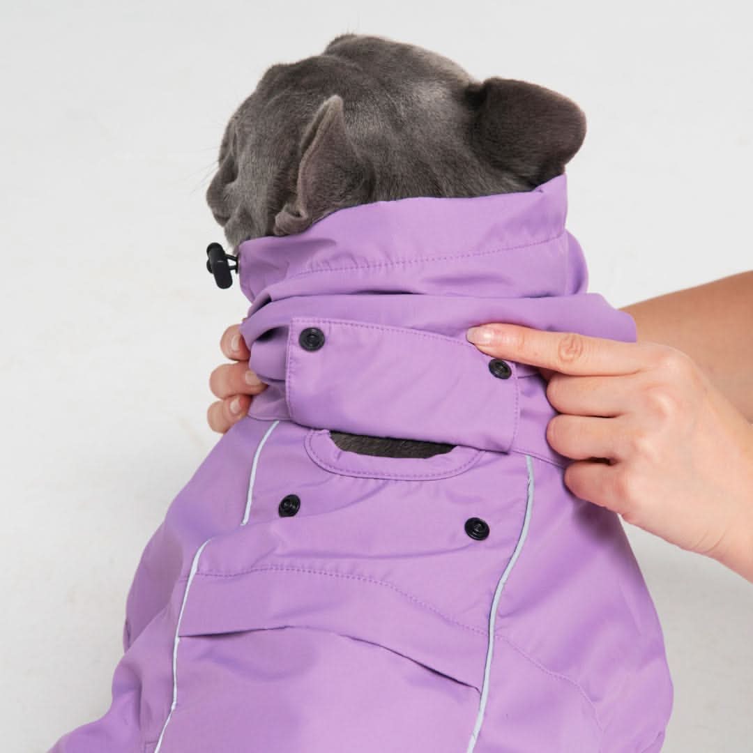 Breatheshield™ 犬用レインコート - パープル - Image 3
