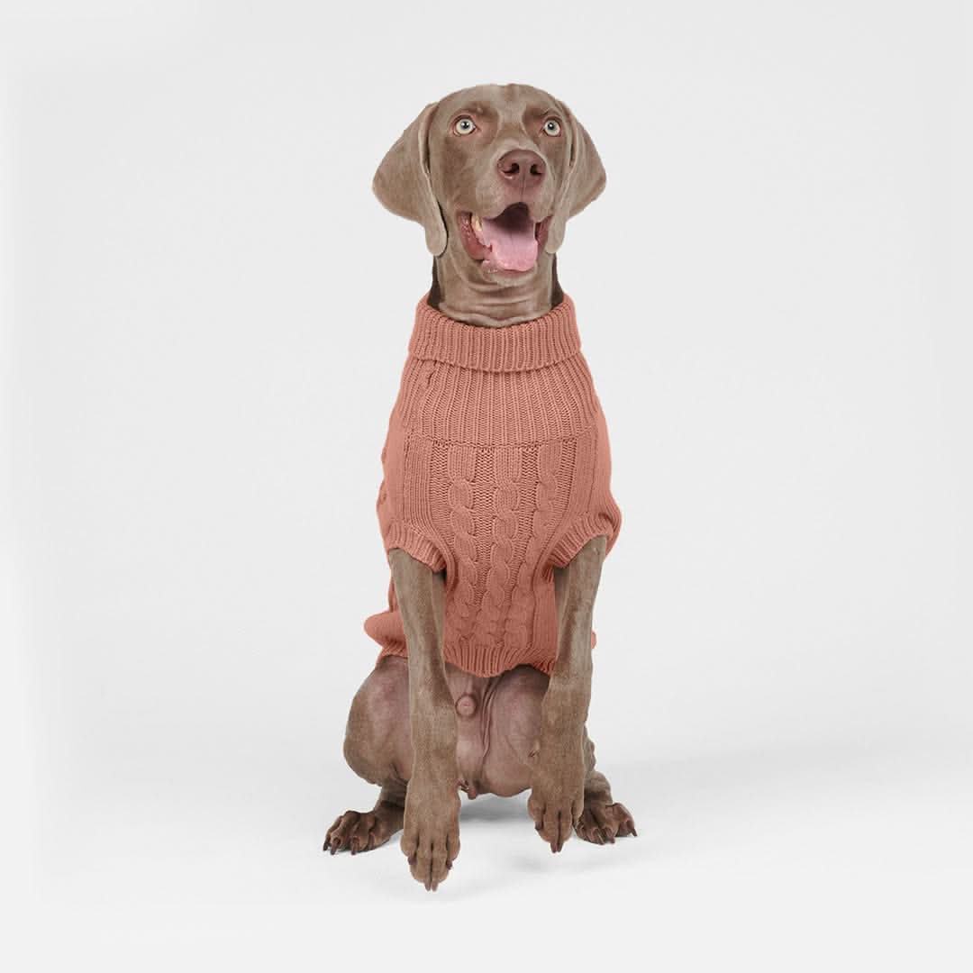 ケーブル編みの犬用セーター - 茶色 - Image 3
