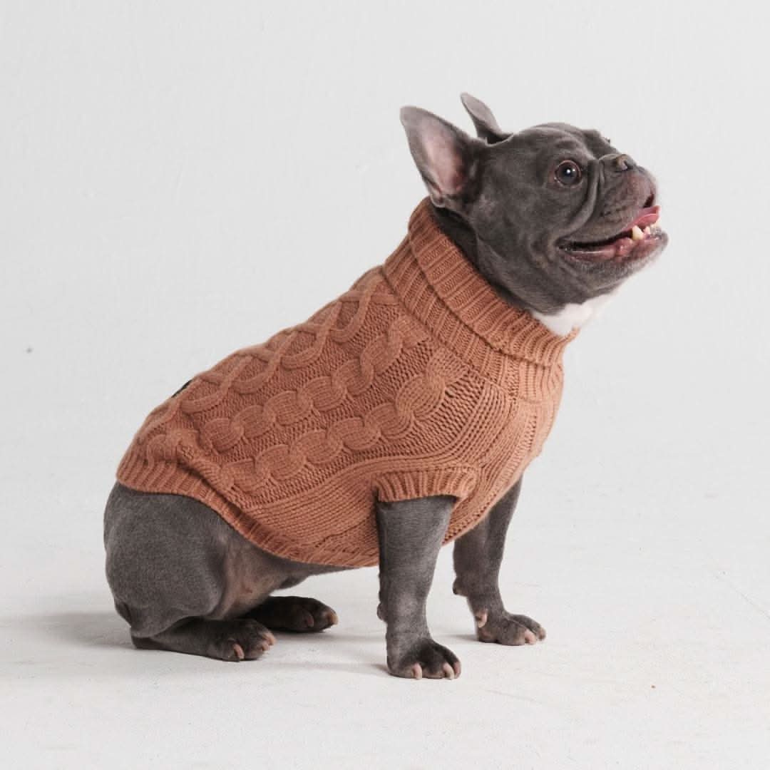 ケーブル編みの犬用セーター - 茶色 - Image 4