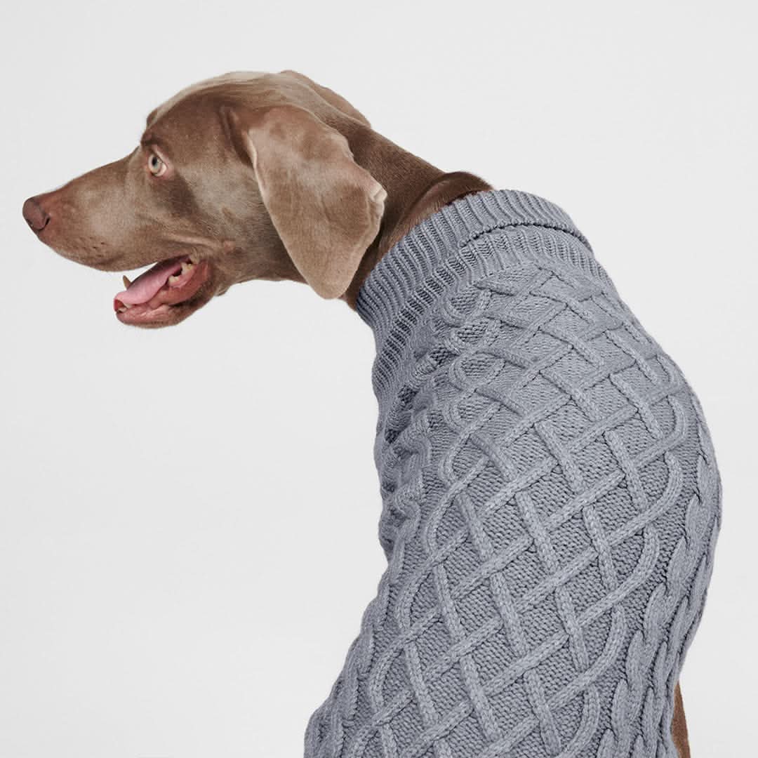 ケーブル編みの犬用セーター - 灰色 - Image 4