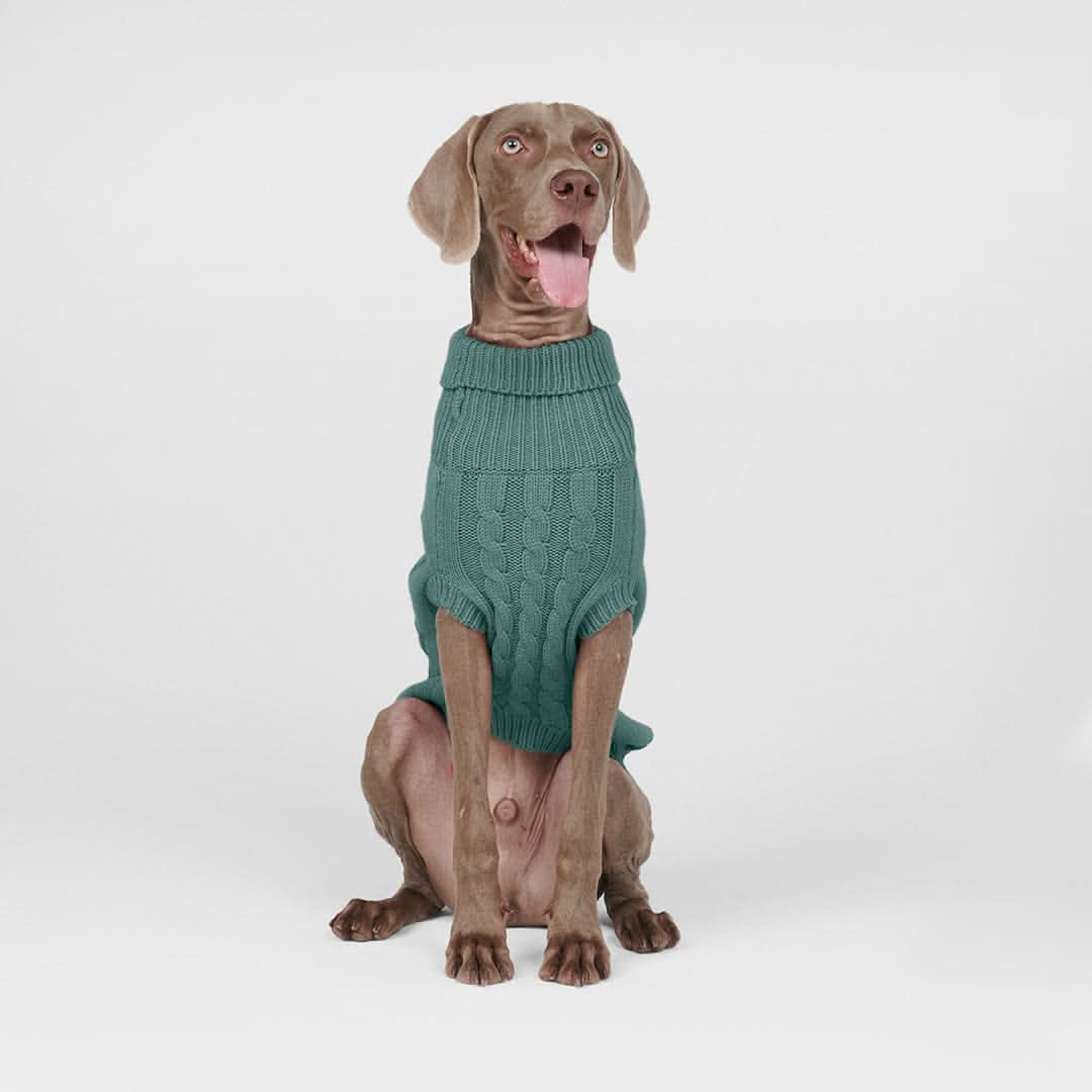 ケーブル編みの犬用セーター - 松の木の緑 - Image 3