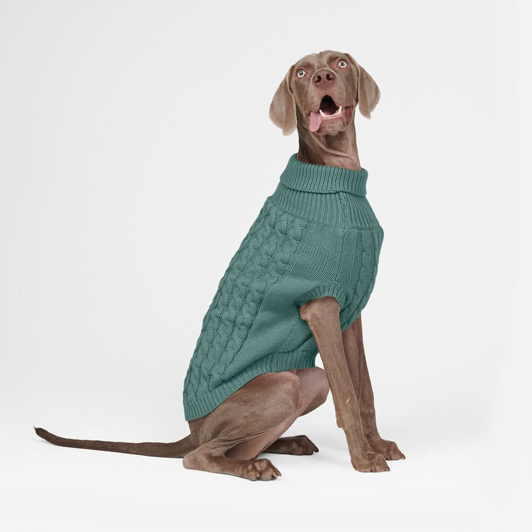 ケーブル編みの犬用セーター - 松の木の緑 - Image 5