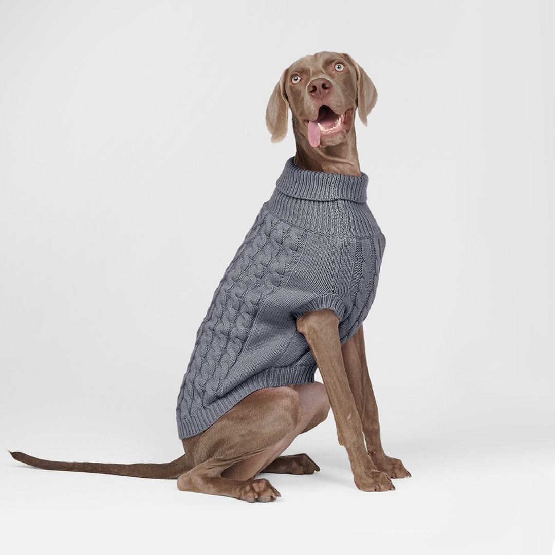ケーブル編みの犬用セータ - Image 10
