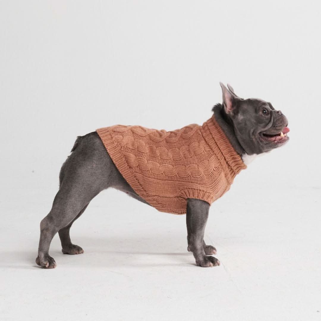 ケーブル編みの犬用セータ - Image 14