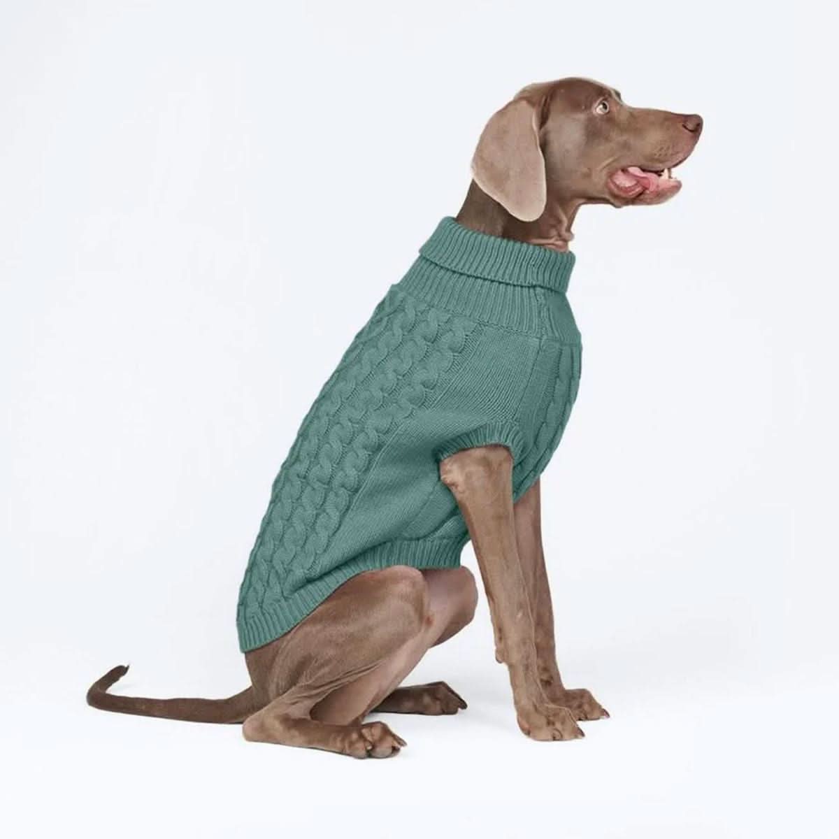 ケーブル編みの犬用セータ - Image 2