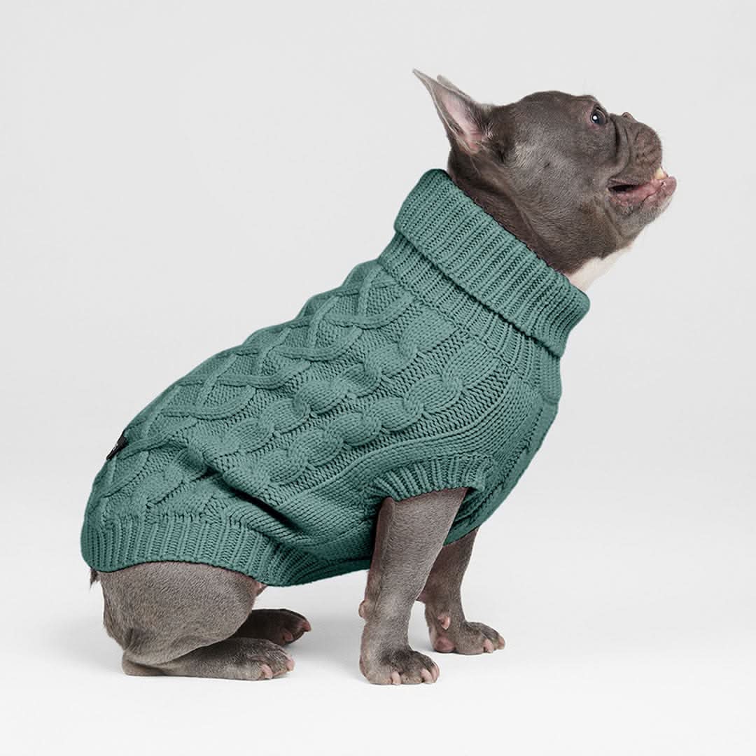 ケーブル編みの犬用セータ - Image 3