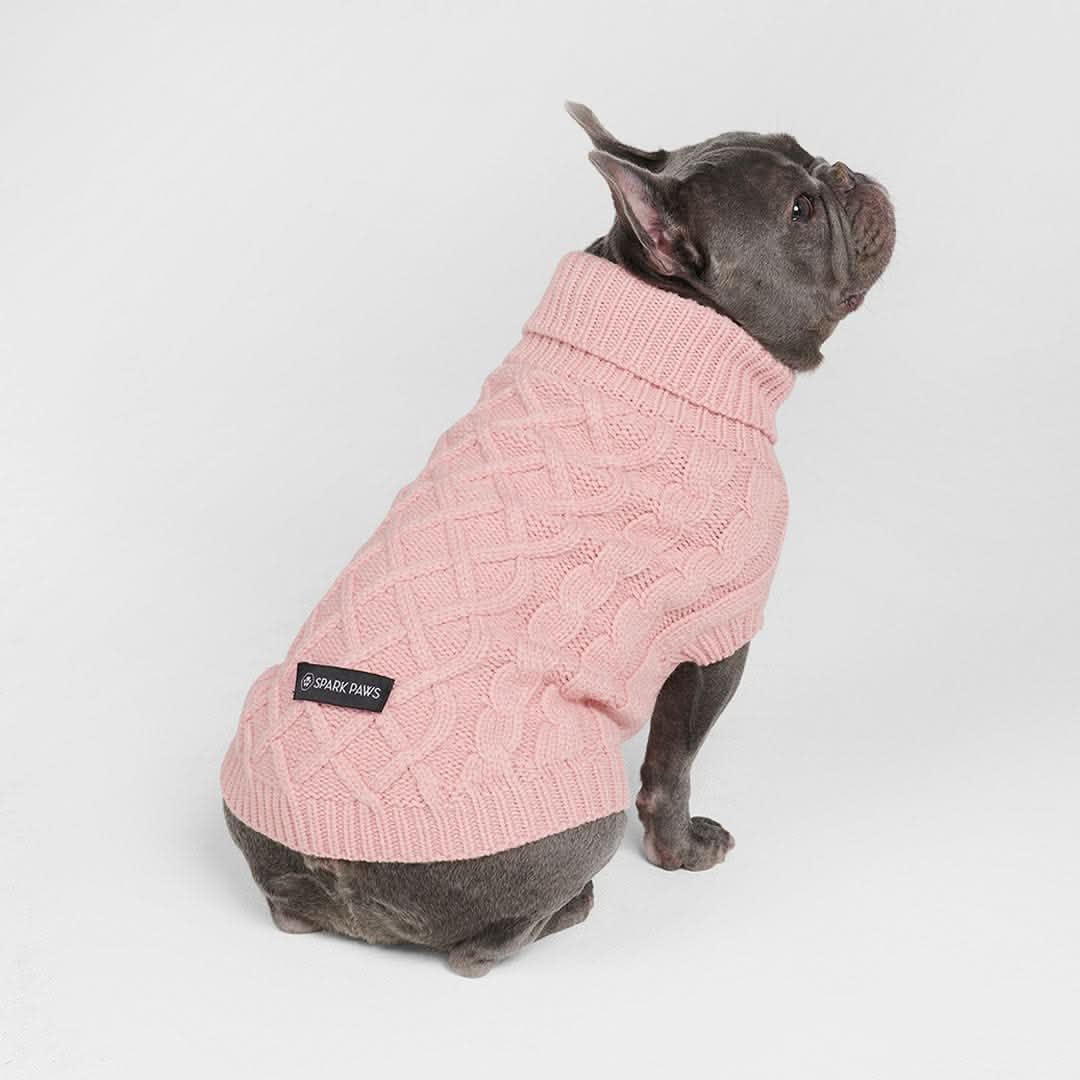 ケーブル編みの犬用セータ - Image 4