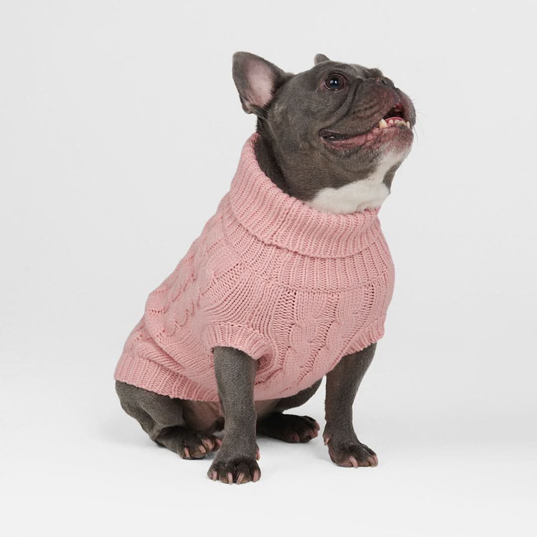 ケーブル編みの犬用セータ - Image 5