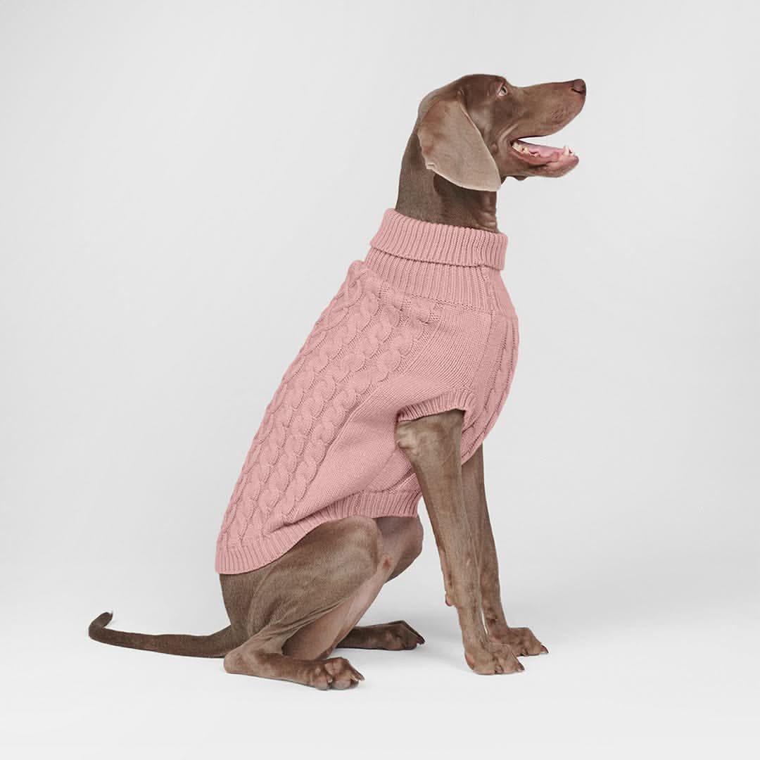 ケーブル編みの犬用セータ - Image 6
