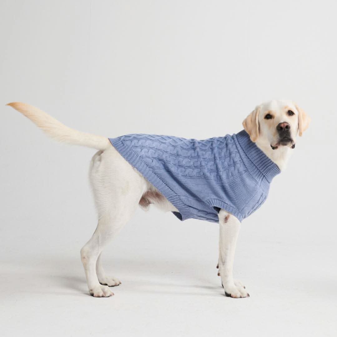 ケーブル編みの犬用セータ - Image 8