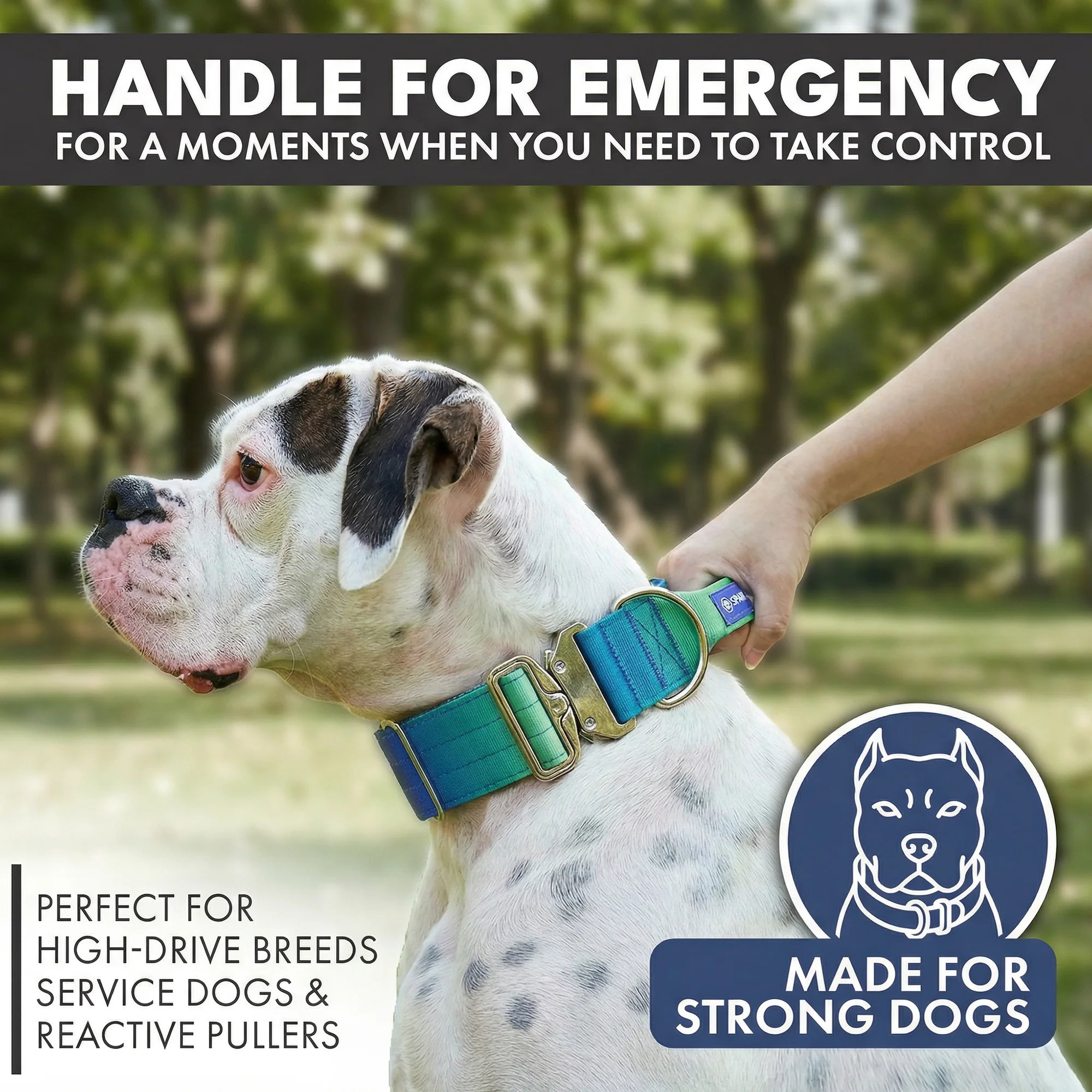 戦術的な犬用首輪セット - ライムウェーブ - Image 2