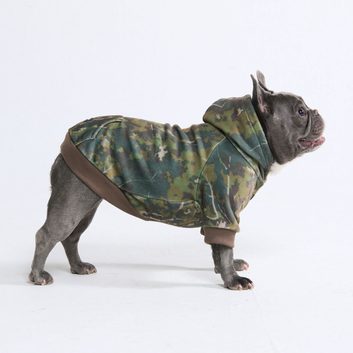 コンクリートウッド犬用パーカー – モス（苔） - Image 4