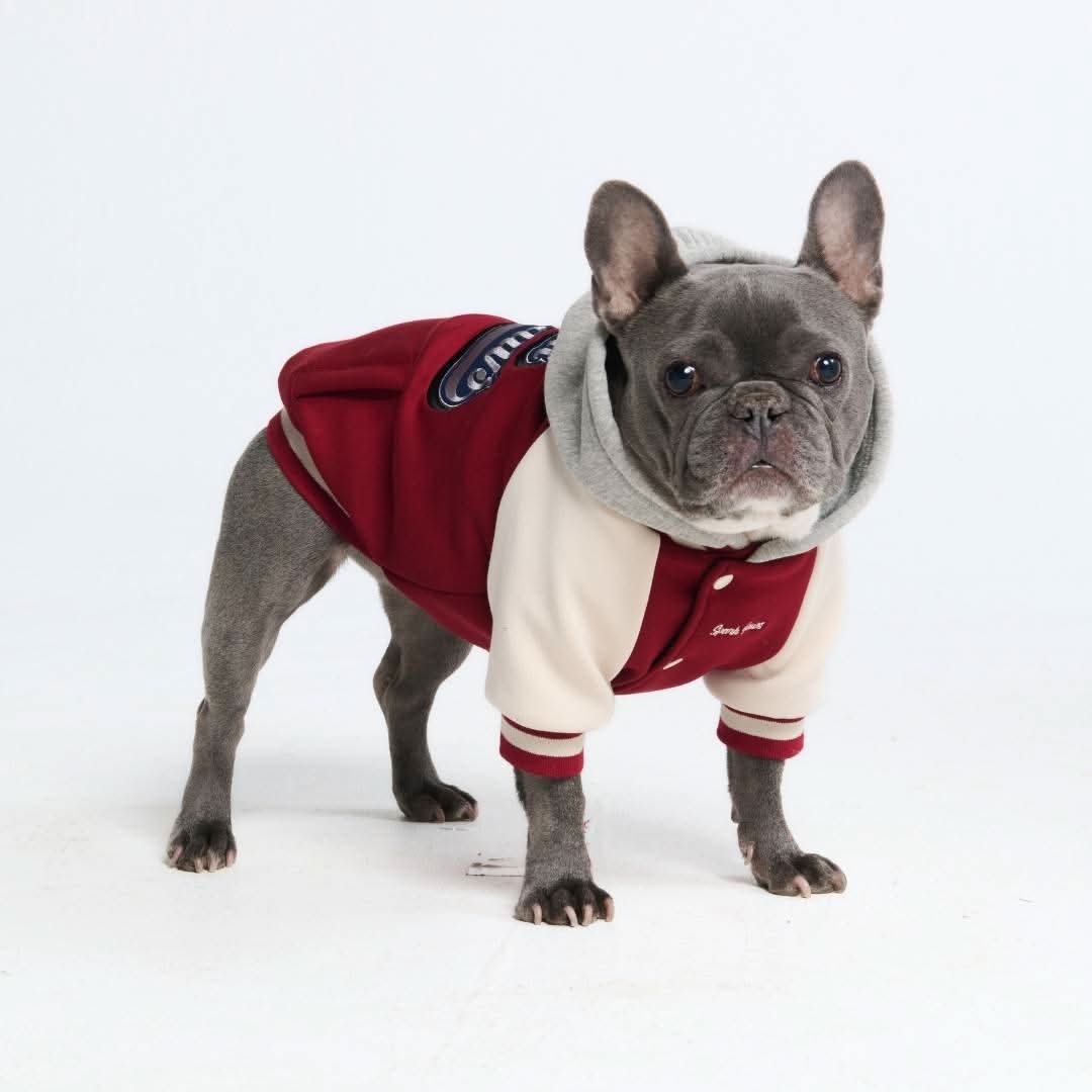 犬用バーシティ ジャケット - レッド - Image 5