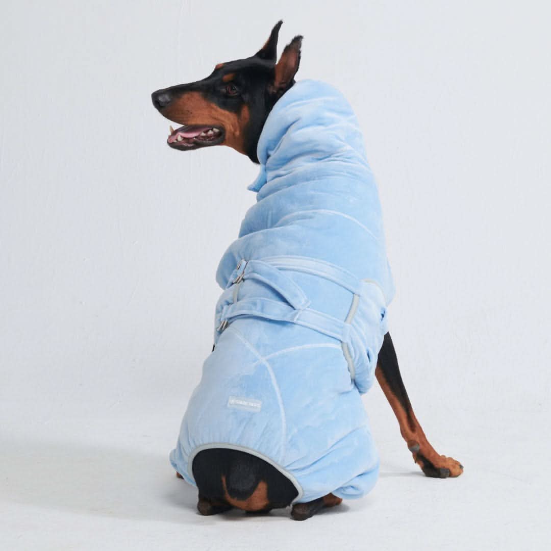 10分間乾燥した犬用バスローブ - Image 4