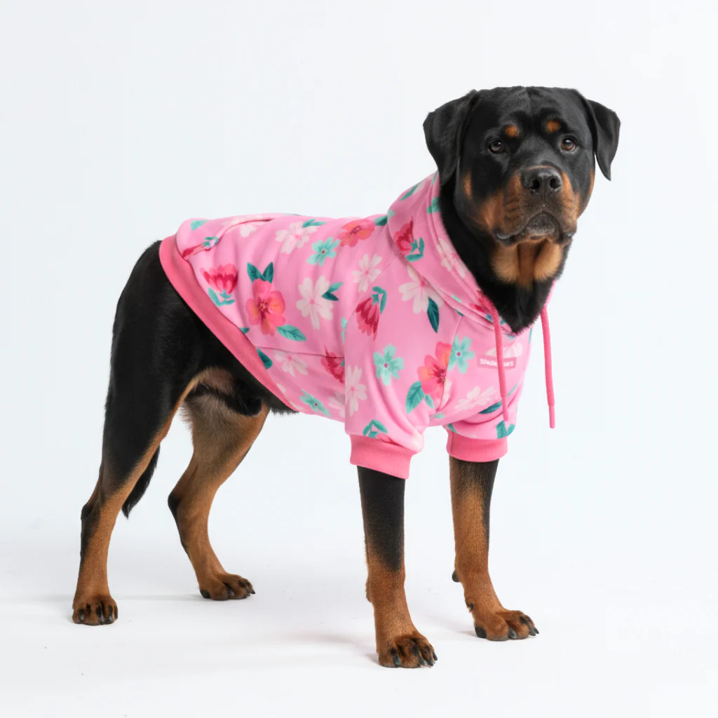 プリント入り犬用パーカー - Image 41