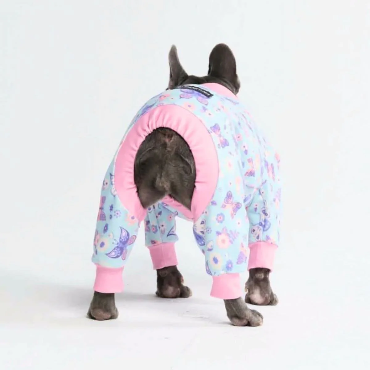 犬用パジャマ - バタフライ - Image 6