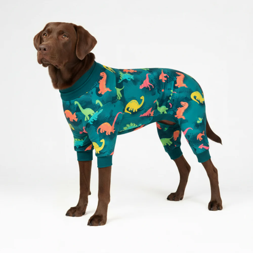 犬用パジャマ - 恐竜 - Image 5