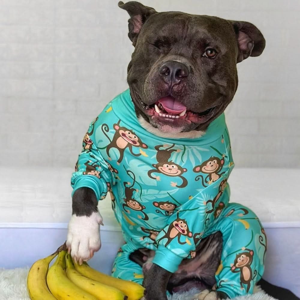 犬用パジャマ - モンキービジネス - Image 12
