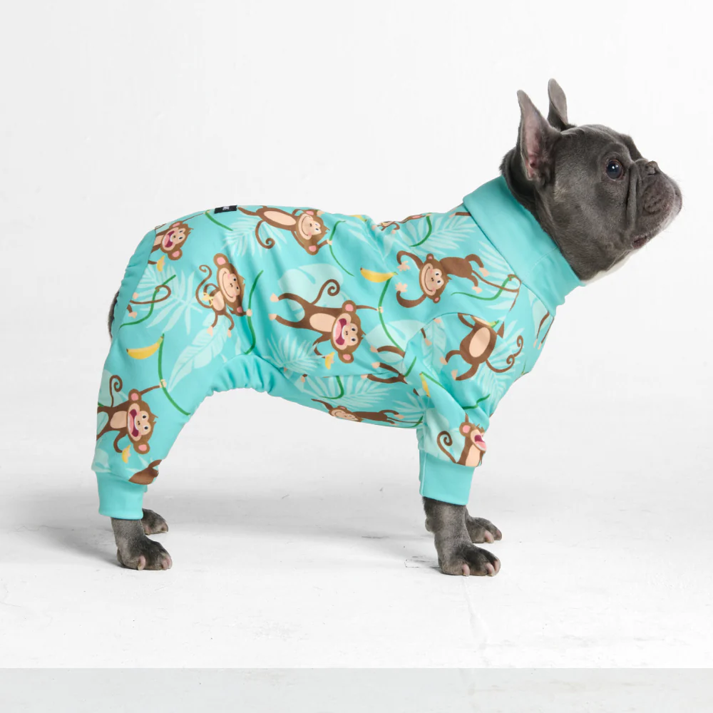 犬用パジャマ - モンキービジネス - Image 4