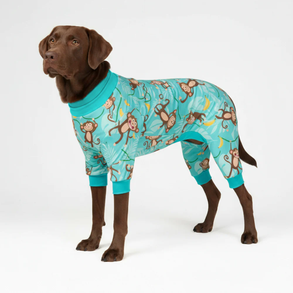 犬用パジャマ - モンキービジネス - Image 6