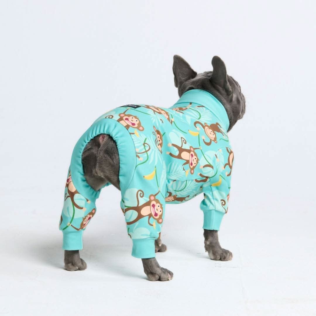 犬用パジャマ - モンキービジネス - Image 9