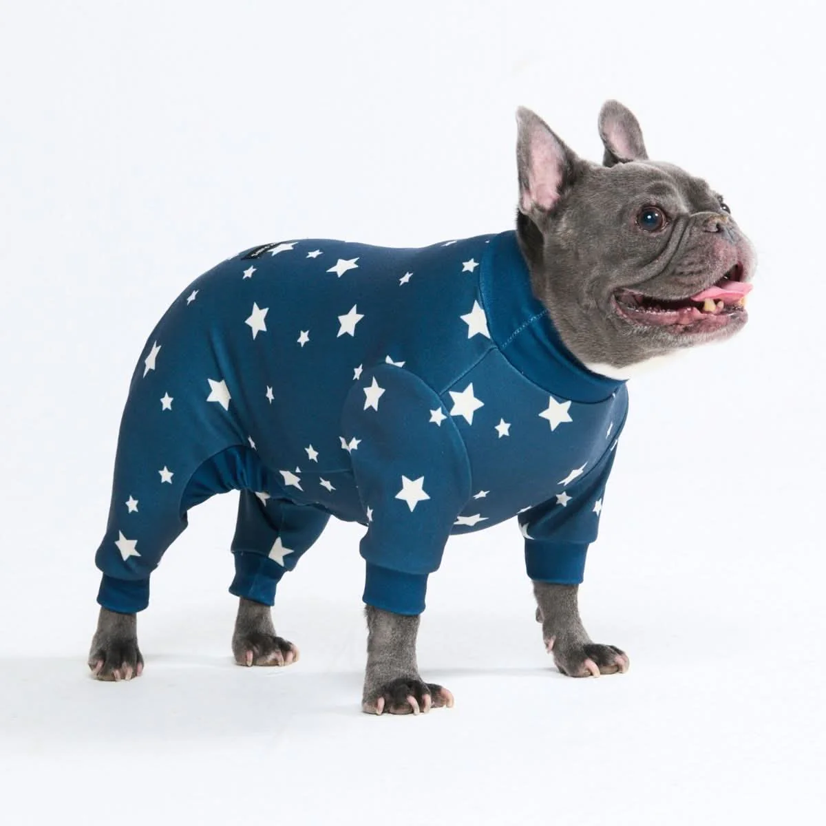 犬用パジャマ プリント - Image 11