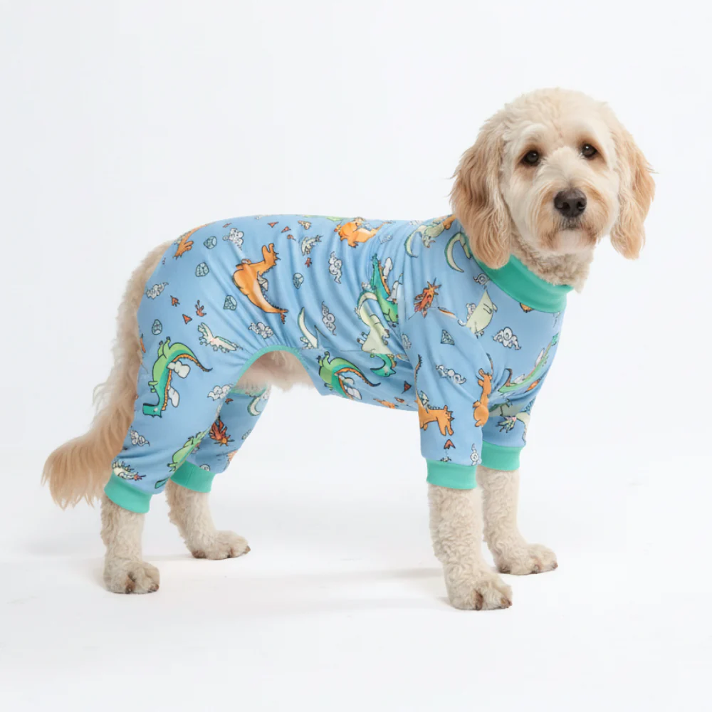 犬用パジャマ プリント - Image 29