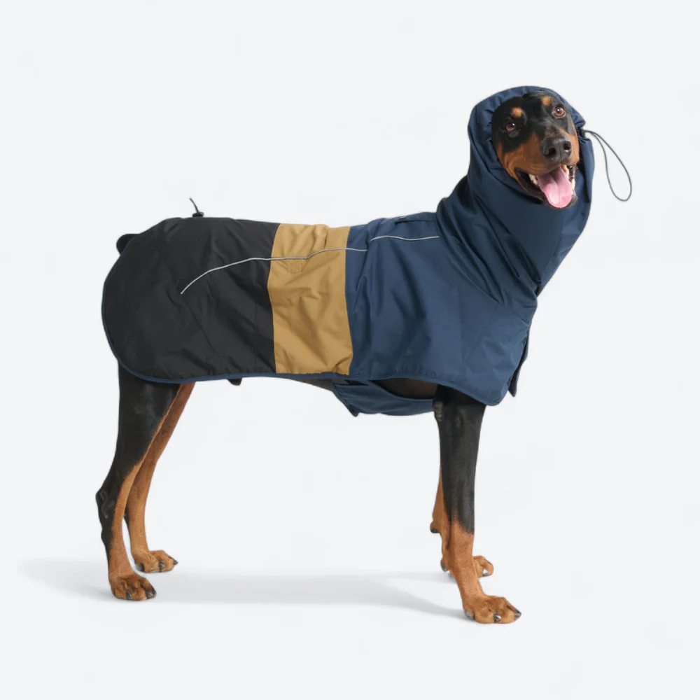 ブレスシールド™ 犬用レインコート - ブルー ゴールド ブラック - Image 4