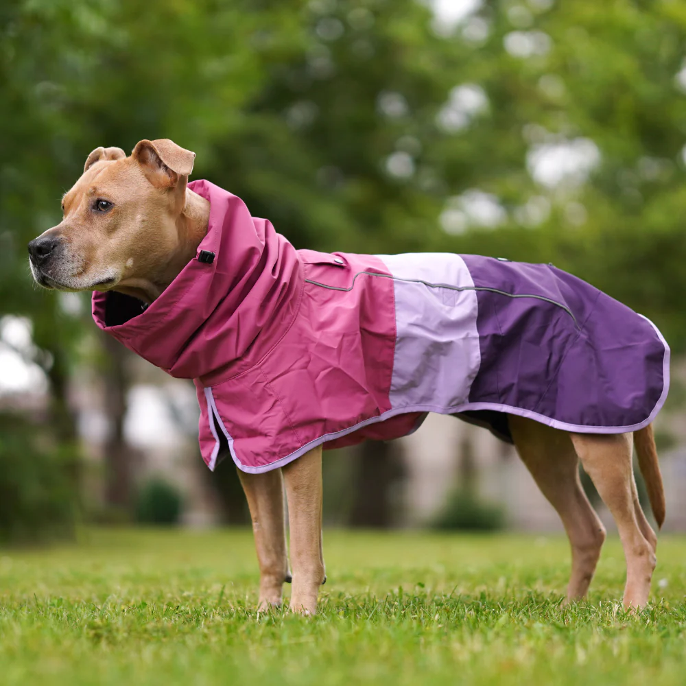 ブレスシールド™ 犬用レインコート - Image 98