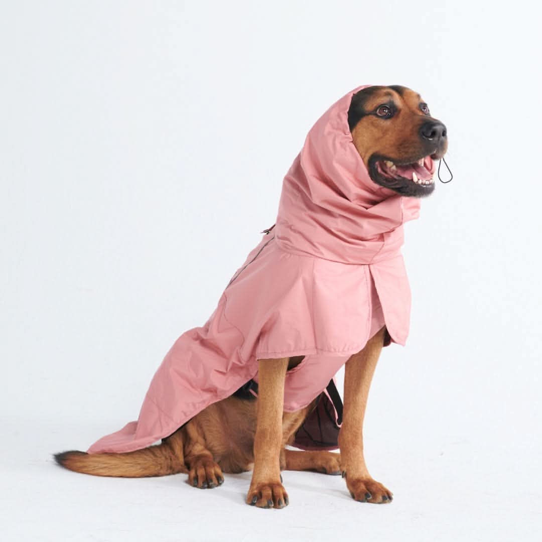 ブレスシールド™ 犬用レインコート - シーピンク - Image 3