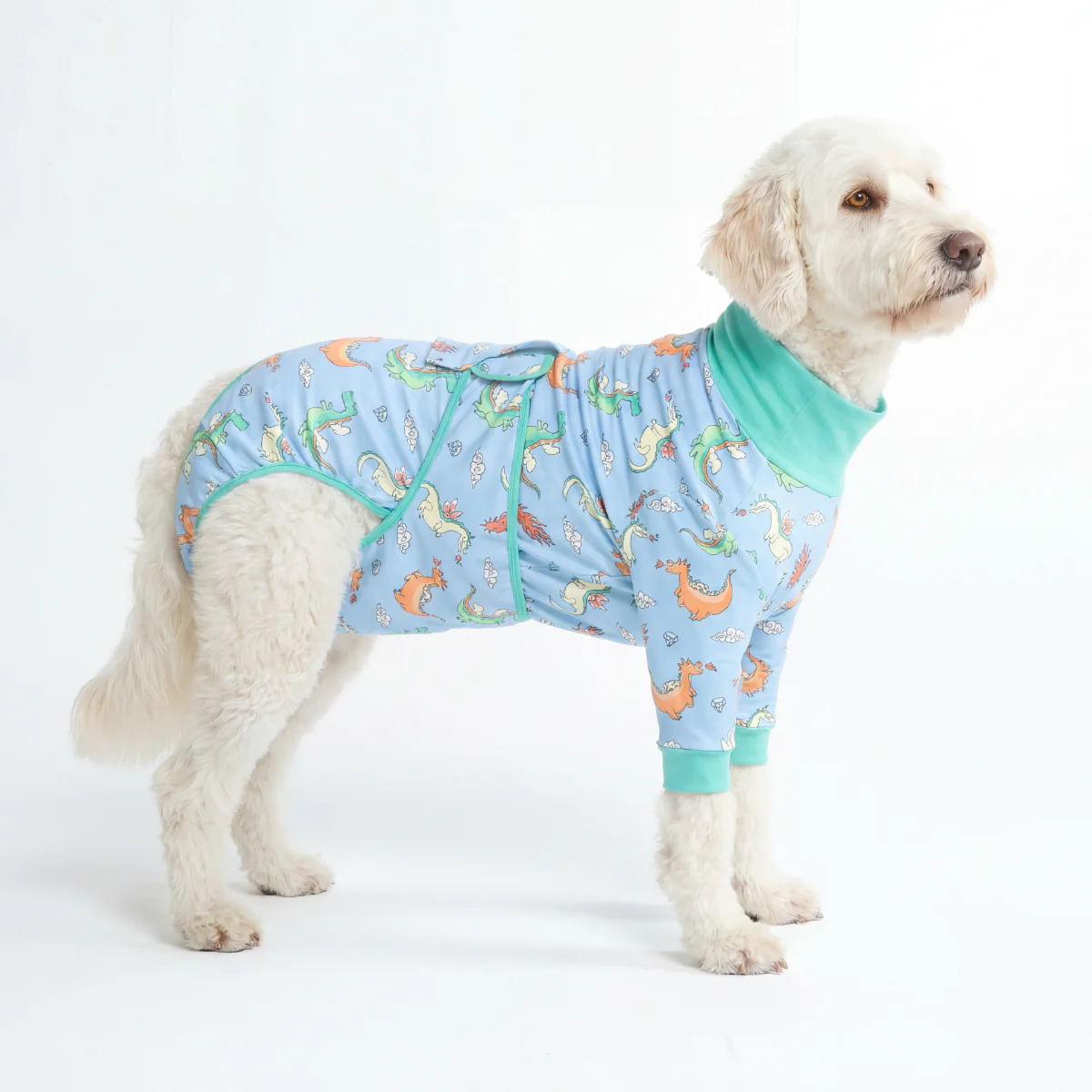 犬用術後ウェア - ドラゴン - Image 4