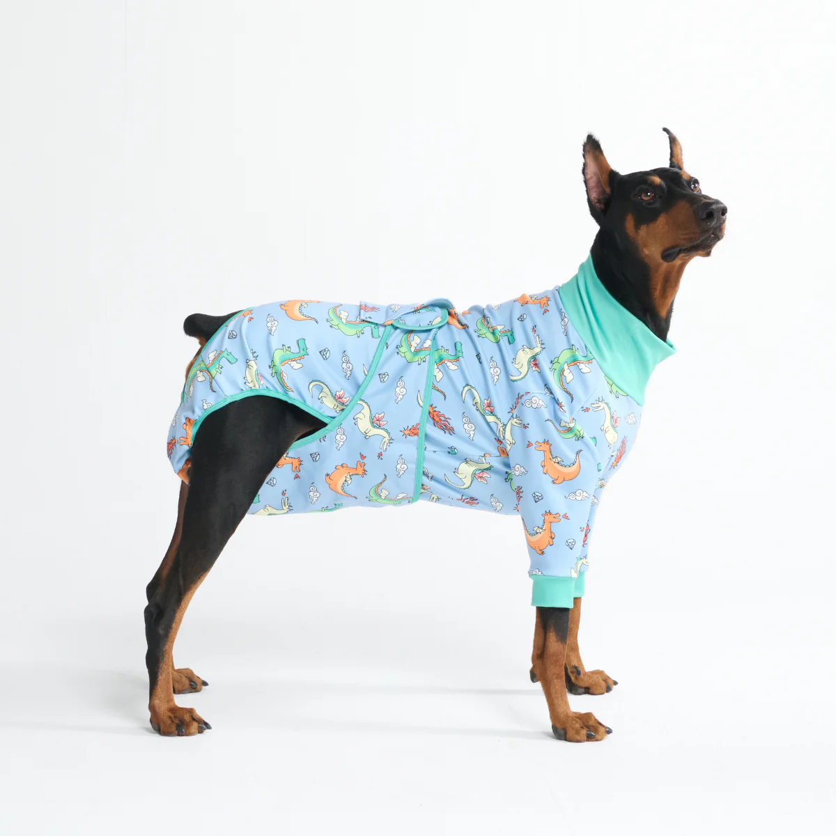 犬用術後ウェア - ドラゴン - Image 5
