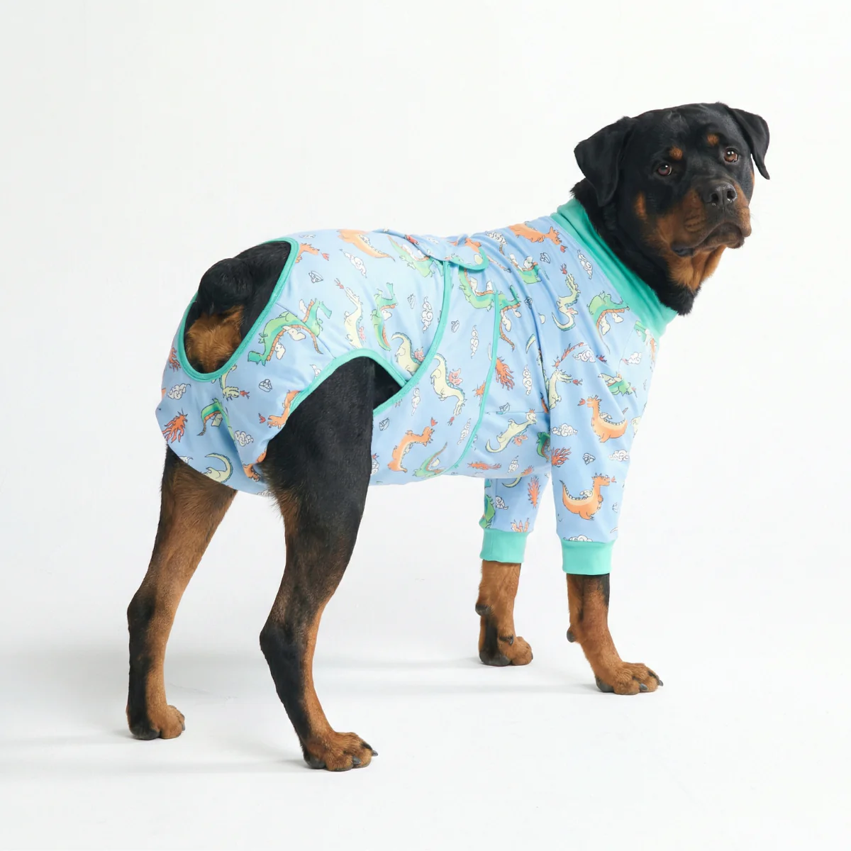 犬用術後ウェア - ドラゴン - Image 6