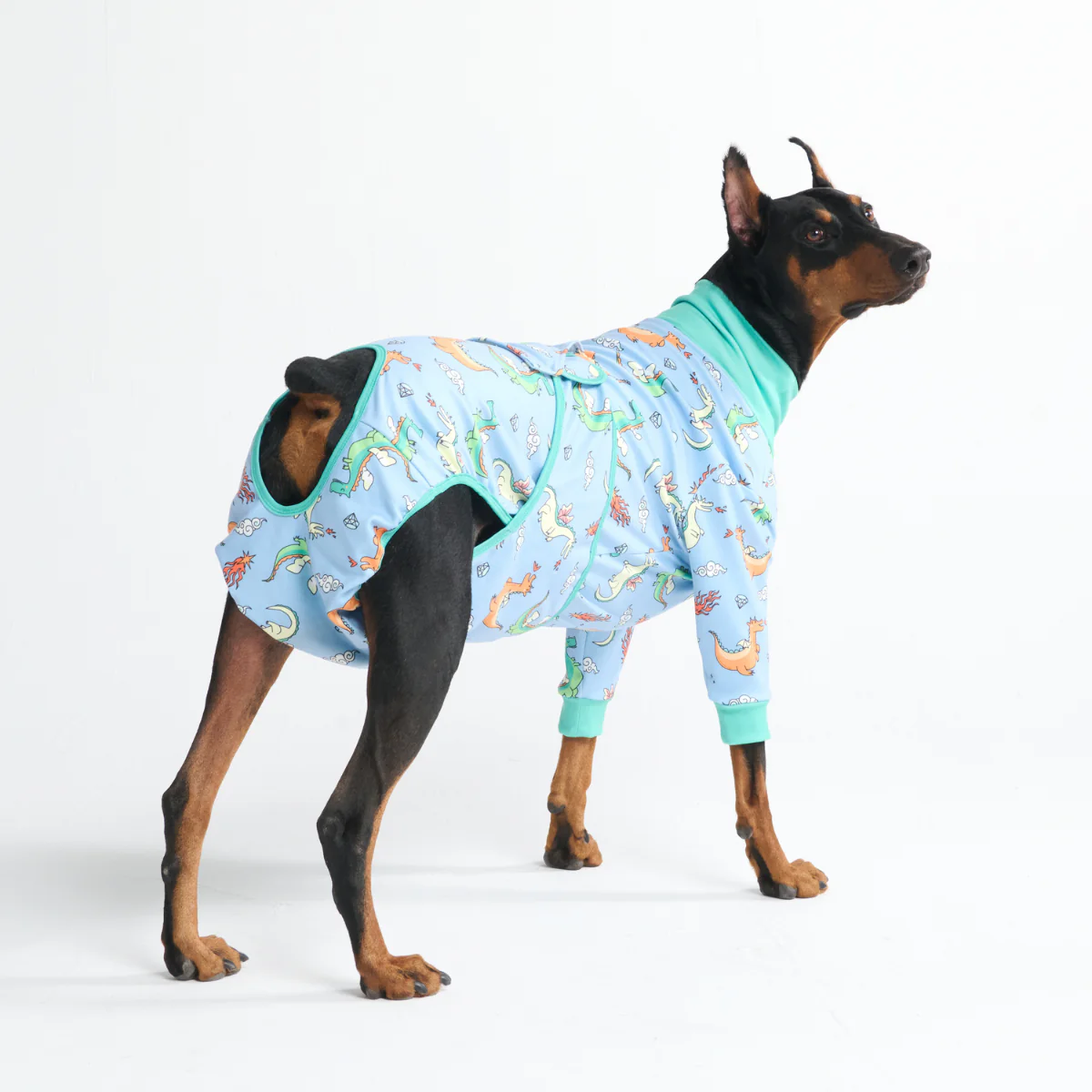 犬用術後ウェア - ドラゴン - Image 10