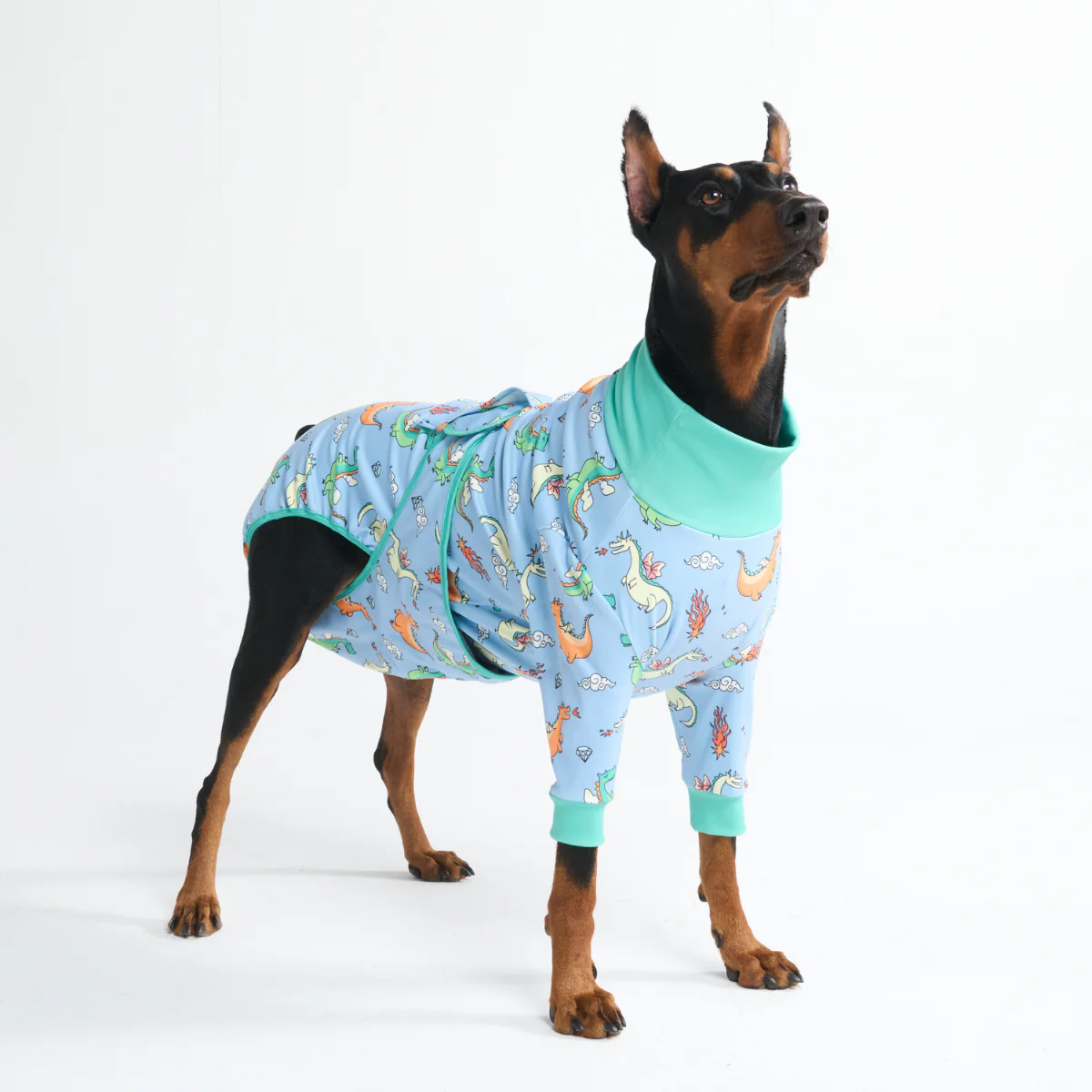 犬用術後ウェア - ドラゴン - Image 11