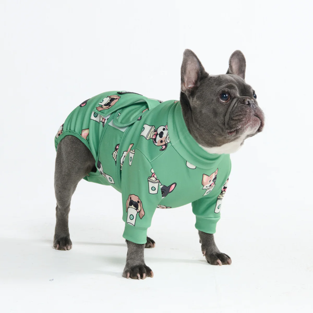 犬用術後ウェア(サージカルスーツ) - Image 119